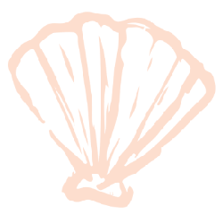Included Image