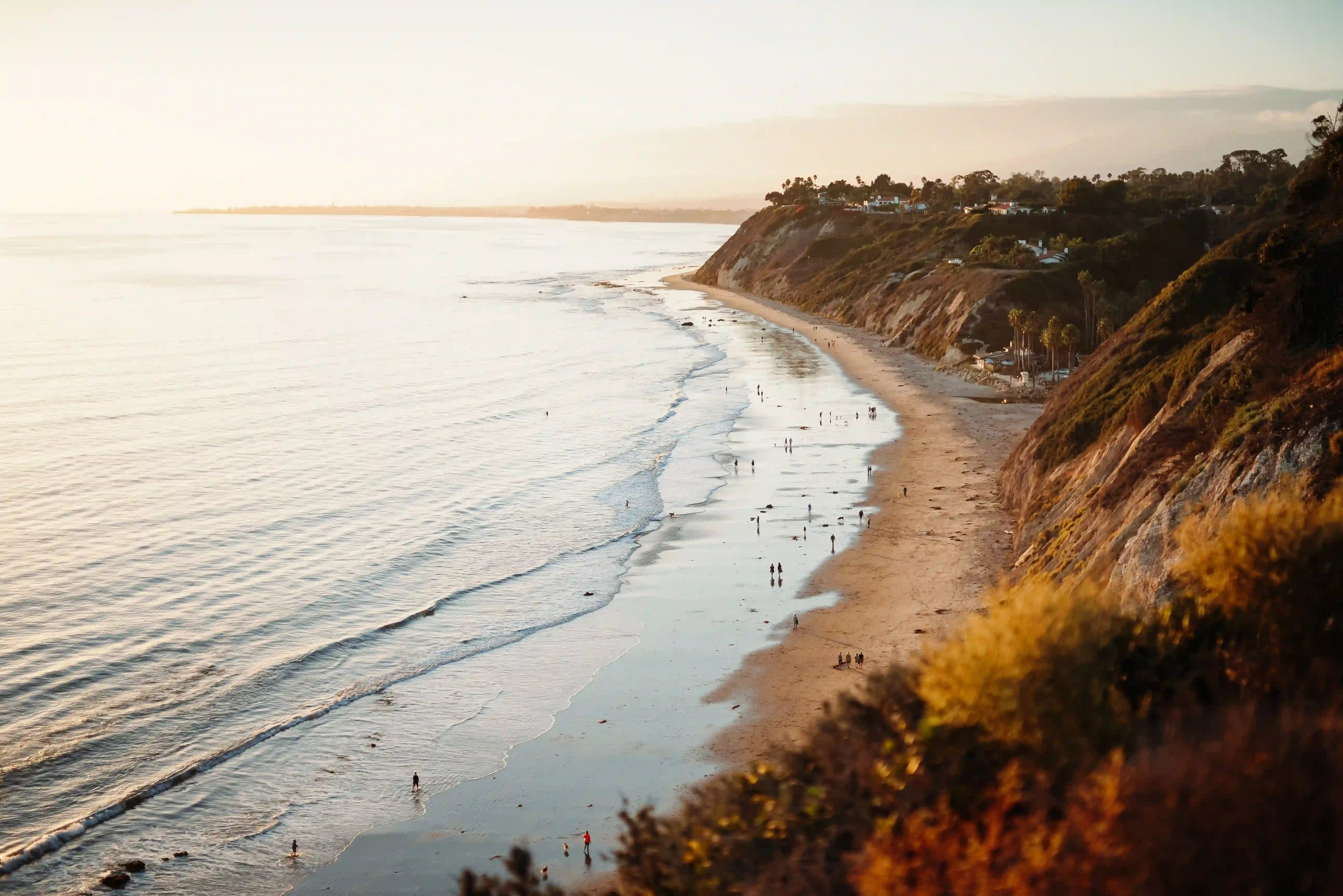 Torrey Pines 